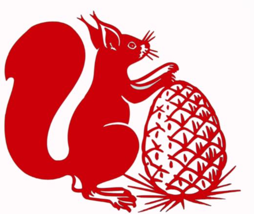 Pas de photo - Ecole de Rugby de Captieux